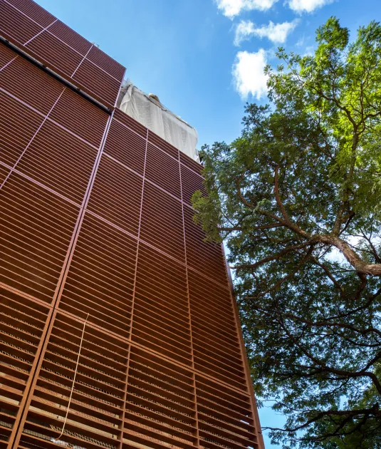 Fachada de um edifício revestida por painéis metálicos horizontais vistos de baixo para cima, com parte superior coberta por lona branca; à direita, um grande galho de árvore com folhagem verde contra um céu azul com nuvens.